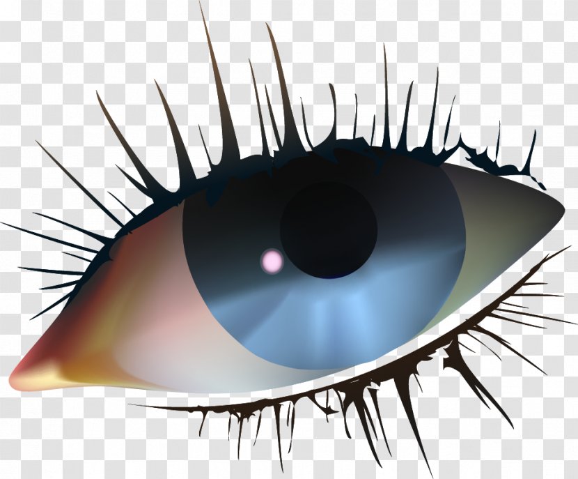 Iris Eye - Tree - Vector Hand-painted Eyes Transparent PNG
