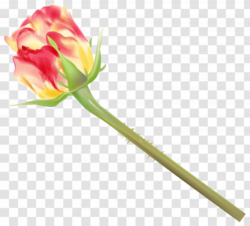 Rose Clip Art - Flowering Plant - Red Rosebud Cliparts Transparent PNG