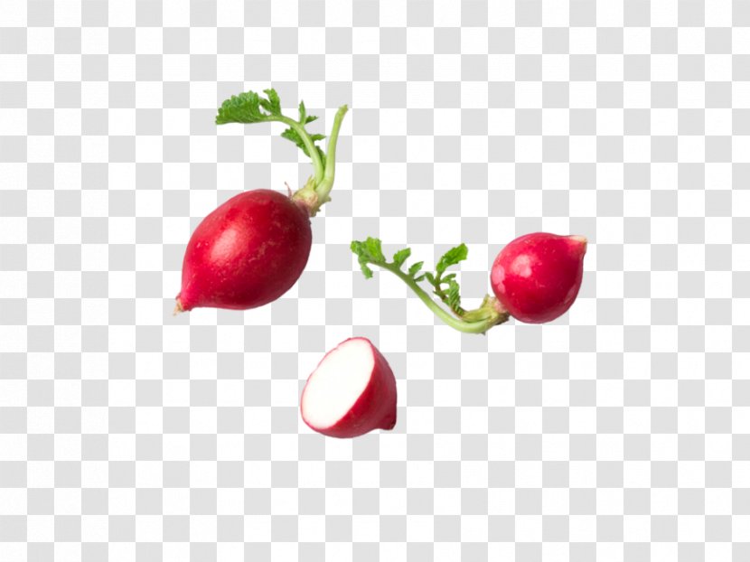 Radish Food Transparency Quail - Cranberry - Map Transparent PNG