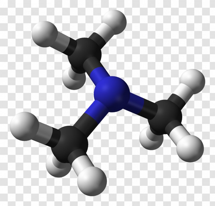 Trimethylamine Odor Cadaverine - Heart - Microwave Transparent PNG