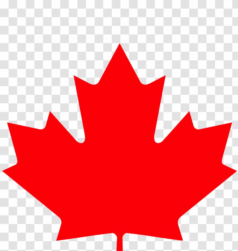 Canada Maple Leaf - Flag Of - Symbol Plane Transparent PNG