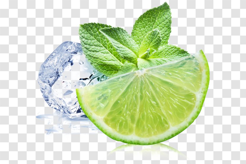 Mojito Menthol Peppermint Mentha Spicata Flavor - Mint Transparent PNG