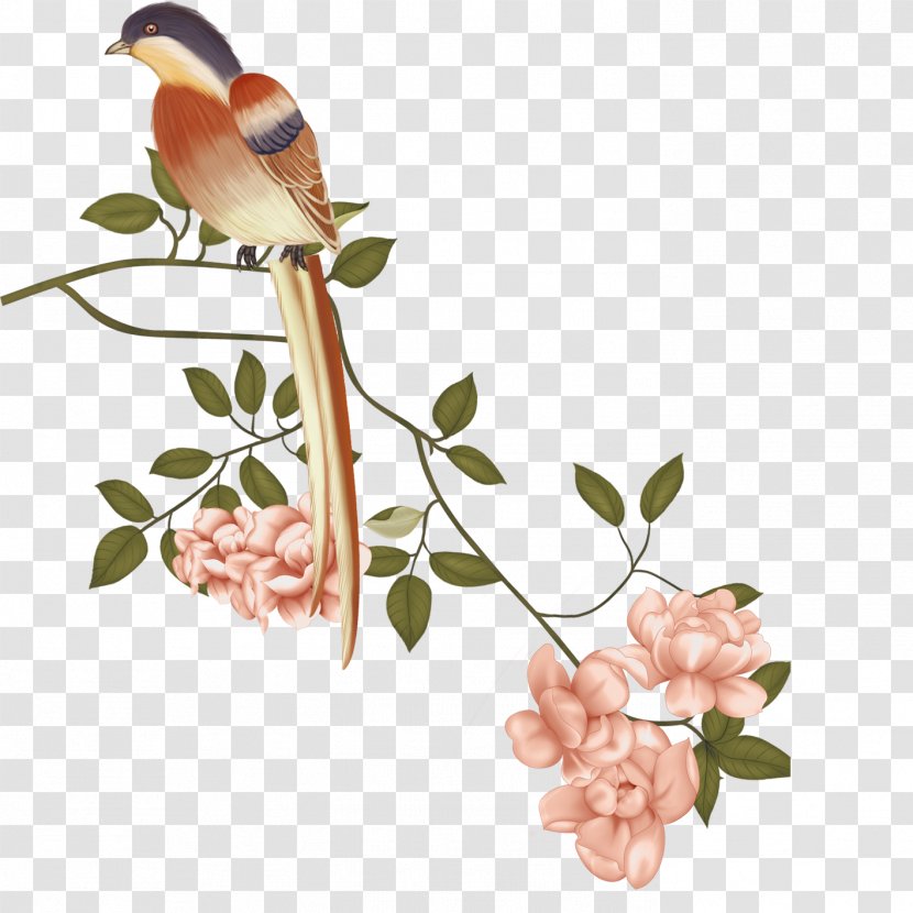 China Floral Design Bird-and-flower Painting Gongbi Chinese - Bird - Birds And Flowers Transparent PNG