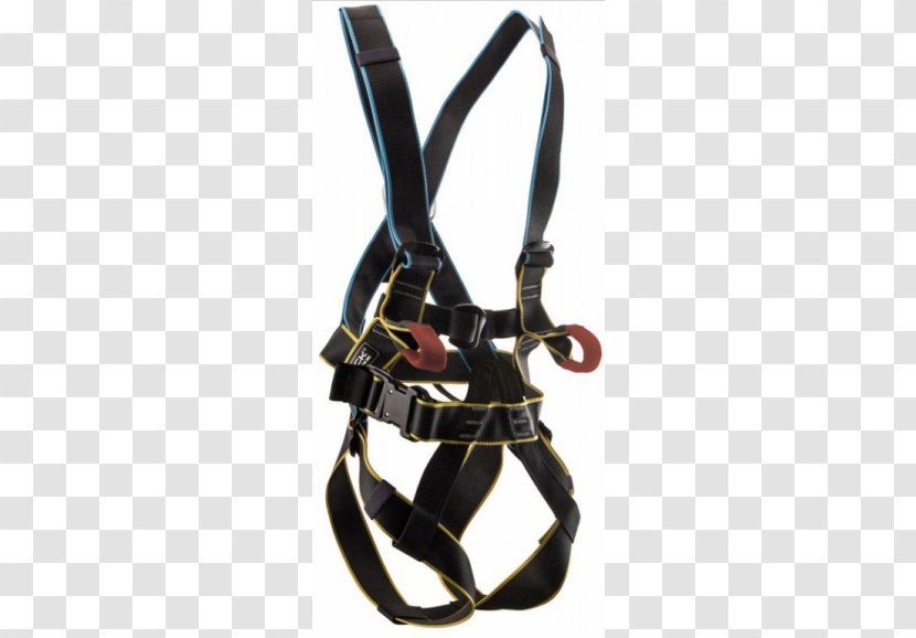 horse tack equipment