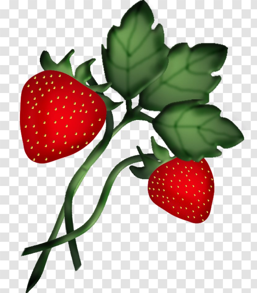 Strawberry Accessory Fruit Amorodo Food - Fragaria Transparent PNG