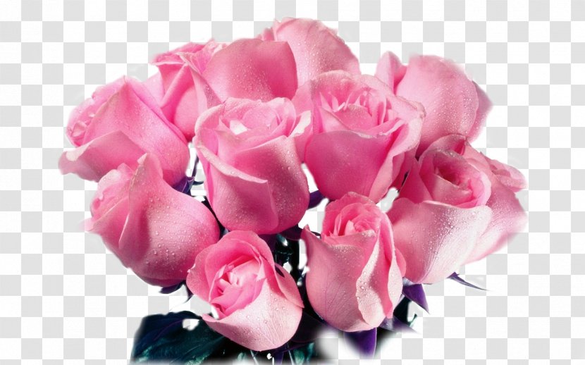 Rose Flower Bouquet Pink Cut Flowers - Garden Roses - Beautiful Transparent PNG