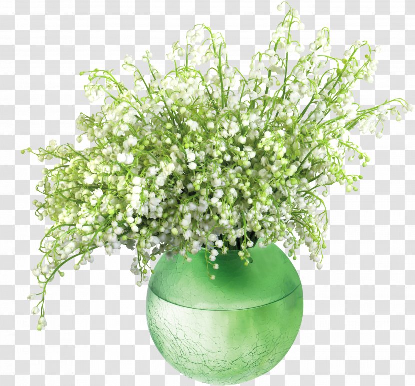 The Lily Of Valley Lilly's Lilly Missionary Plant - Petal - Valleyin Vase PNG Clip Art Image Transparent PNG