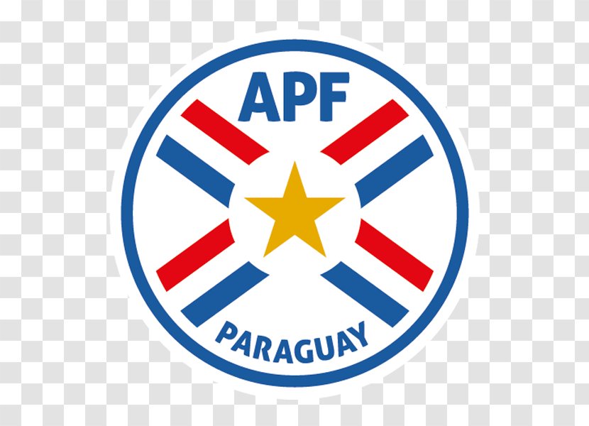 Paraguay National Football Team Paraguayan Primera División South American Youth Championship Argentina - Organization Transparent PNG