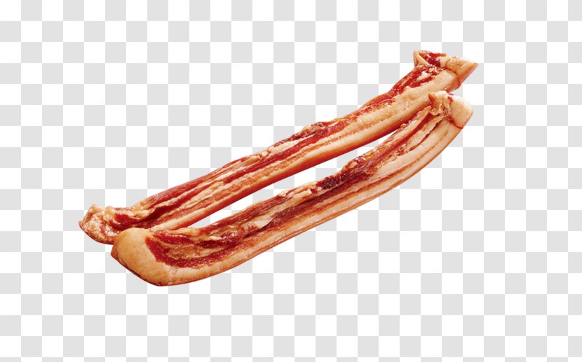 Sausage Bratwurst Bacon Frankfurter Wxfcrstchen Cervelat - Kielbasa Transparent PNG