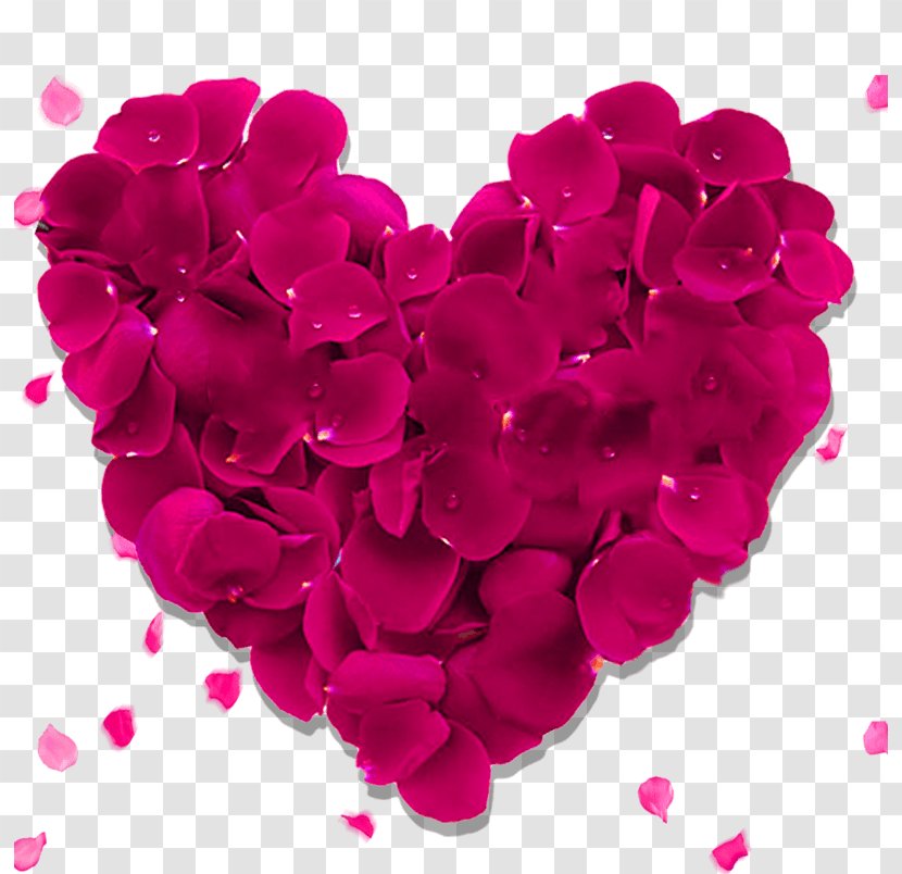 Valentine's Day Heart Vector Graphics Image Gift - Flower Bouquet - Rose Petal Transparent PNG