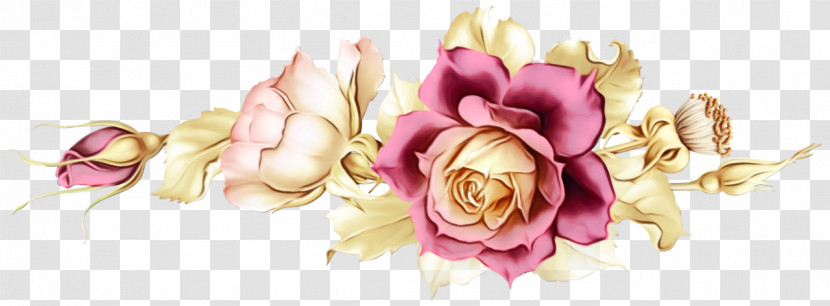 Floral Design Transparent PNG