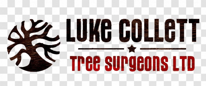 Luke Collett Tree Surgeons Ltd Stump Arborist Grinder - Consultant Transparent PNG