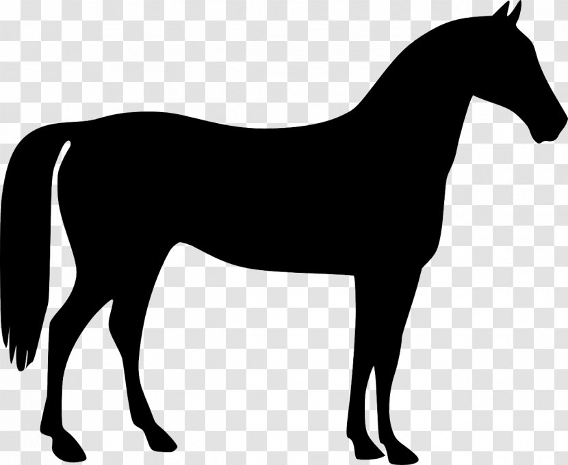 Mustang American Quarter Horse Tennessee Walking Pony - Rein - Auction Transparent PNG
