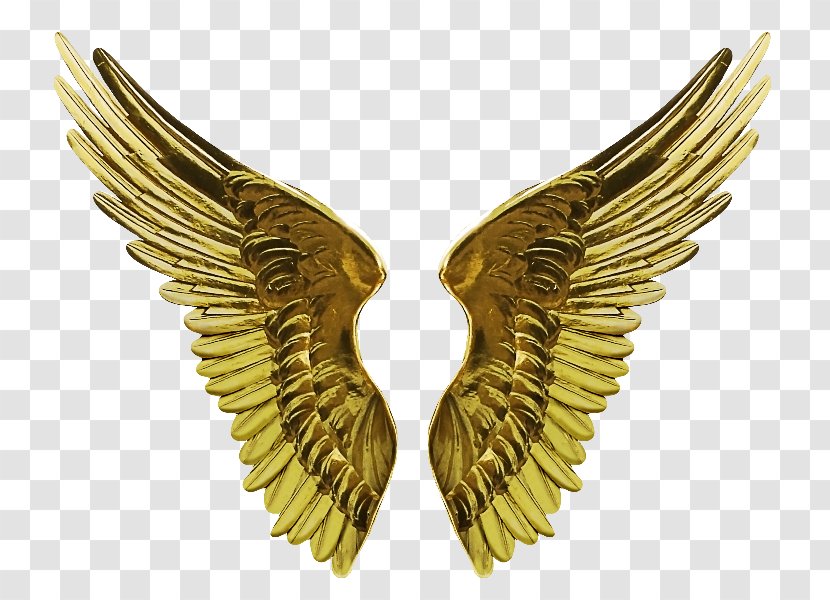 Clip Art - Metal - Wings Transparent PNG