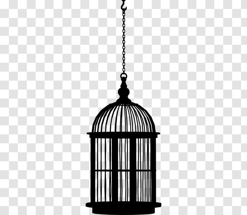 A Doll's House Birdcage Clip Art - Animal - Bird Png Image Transparent PNG