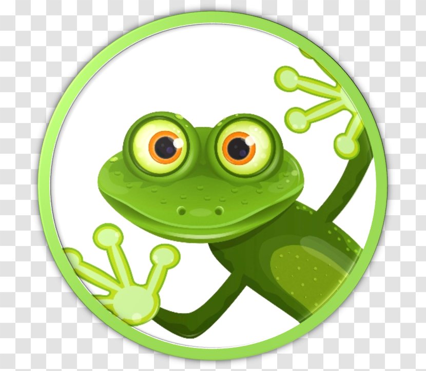 Common Tree Frog Amphibian Clip Art Transparent PNG