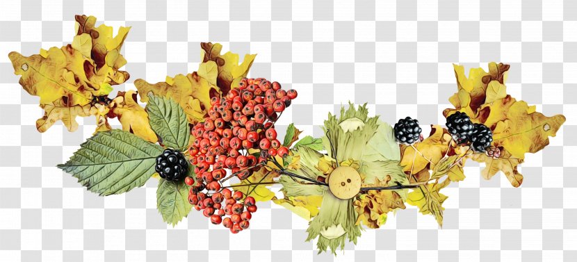 Family Tree Background - Natural Foods - Sorbus Accessory Fruit Transparent PNG
