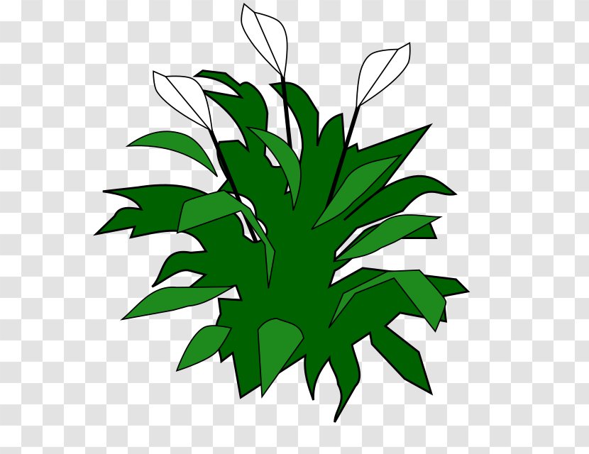 Color Green Clip Art - Plant - Lily Transparent PNG