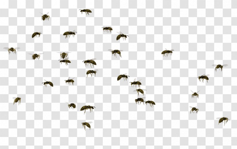 Bee Insect Swarm Behaviour Wasp Clip Art - Honey - Flies Transparent PNG