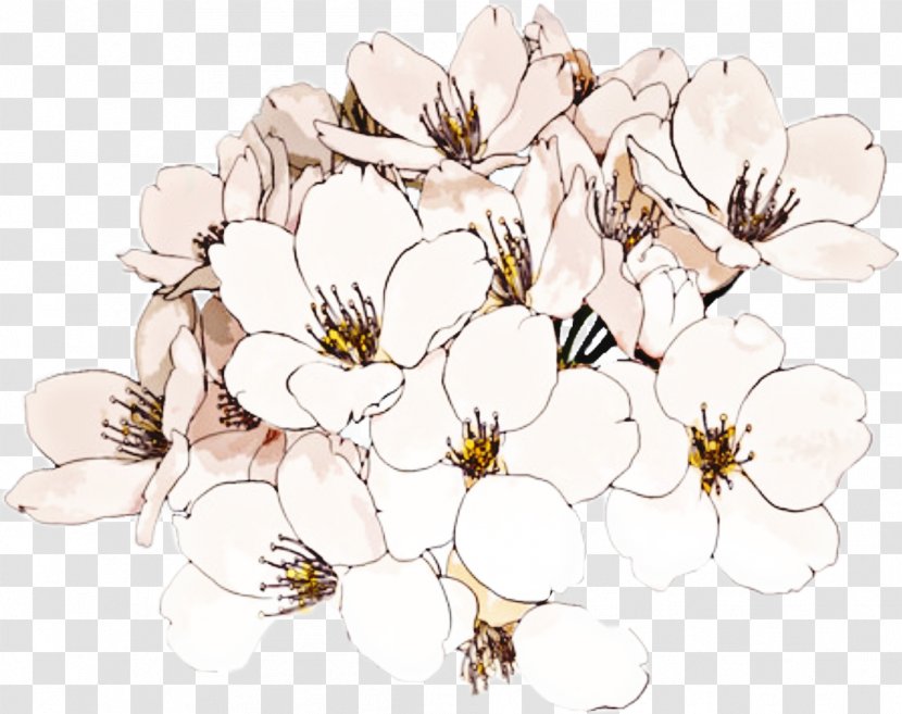 Flower Clip Art Image Drawing - Petal Transparent PNG