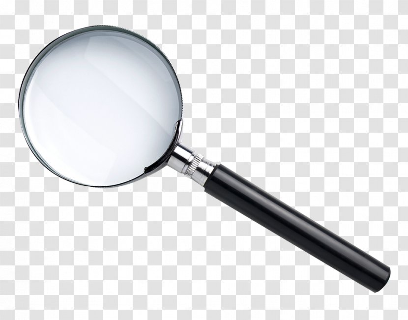 Magnifying Glass Palma Photography - Tree Transparent PNG