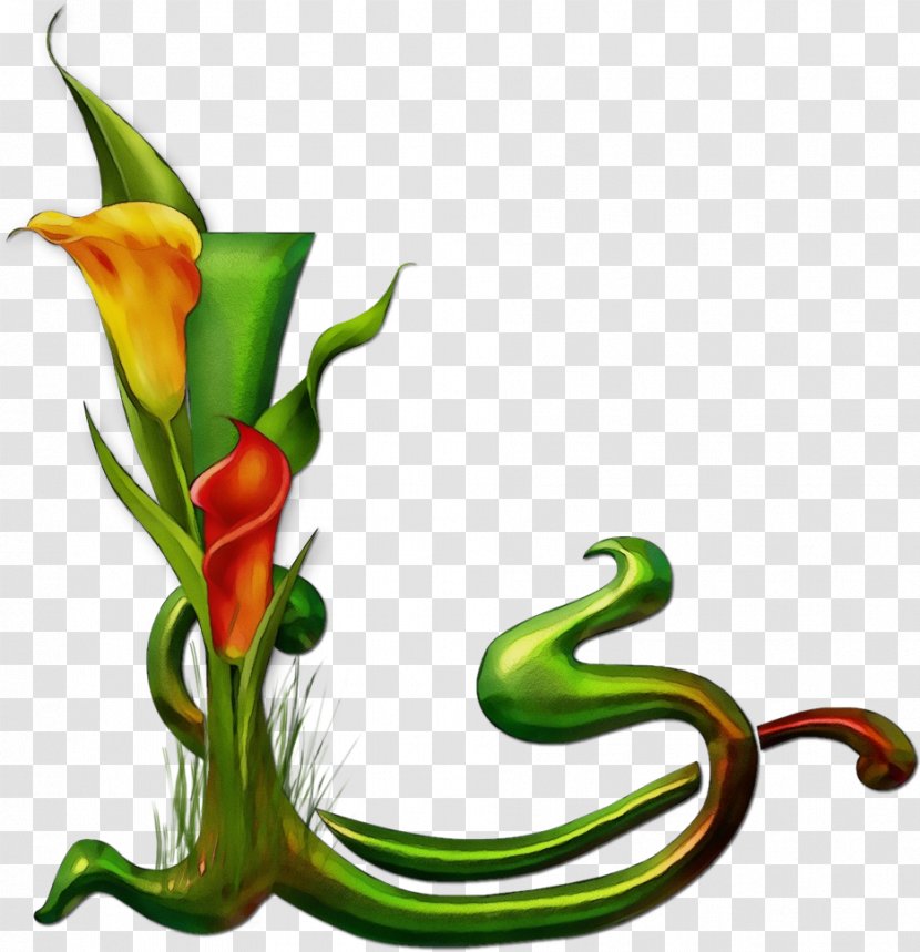 Watercolor Flower Background - Carnivorous Plant - Heliconia Transparent PNG