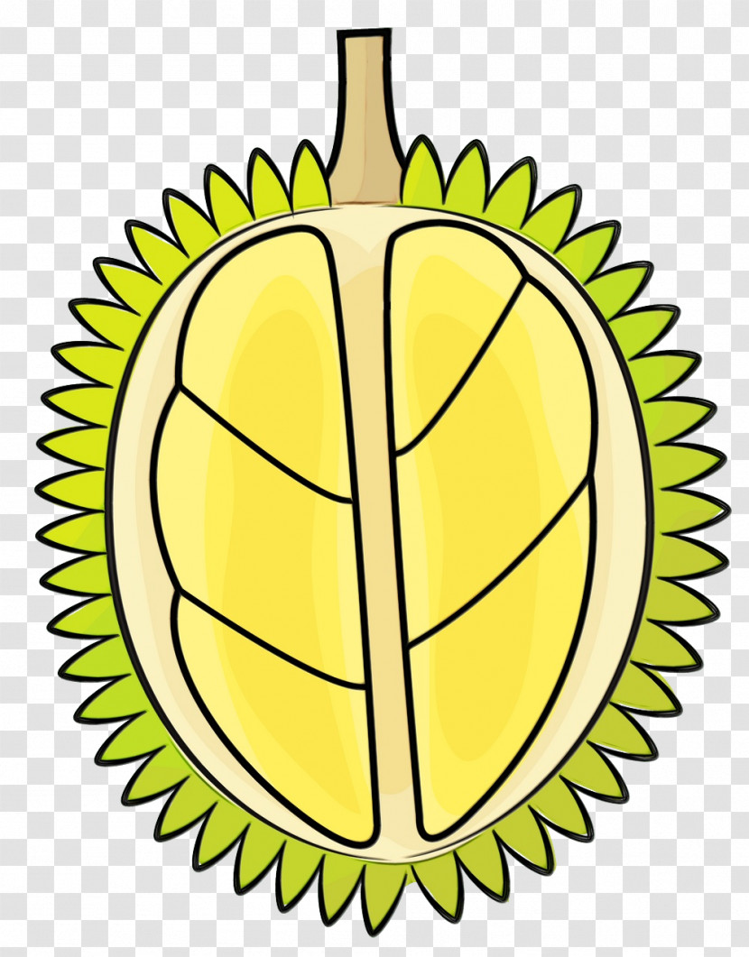 Yellow Durian Leaf Plant Fruit Transparent PNG