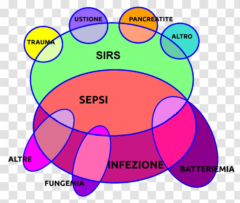 Systemic Inflammatory Response Syndrome Sepsis Infection Bacteremia Disease - Cochlicella Acuta Transparent PNG
