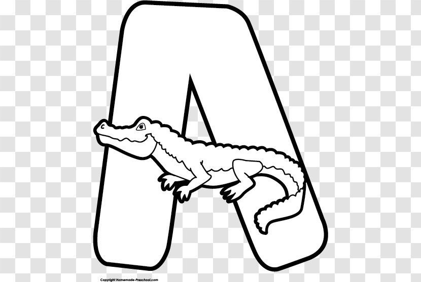 Alligators Clip Art Crocodile Image Illustration Transparent PNG