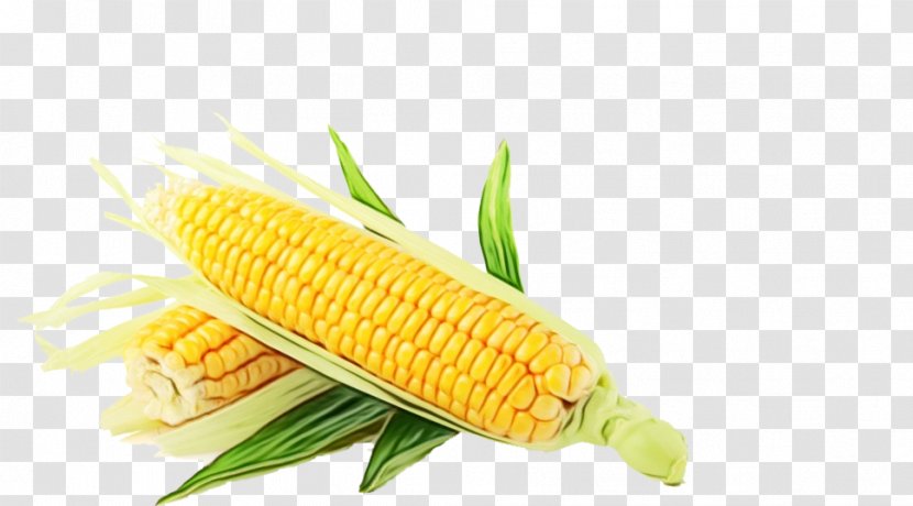 Corn Cartoon - Grain - Plant Food Transparent PNG