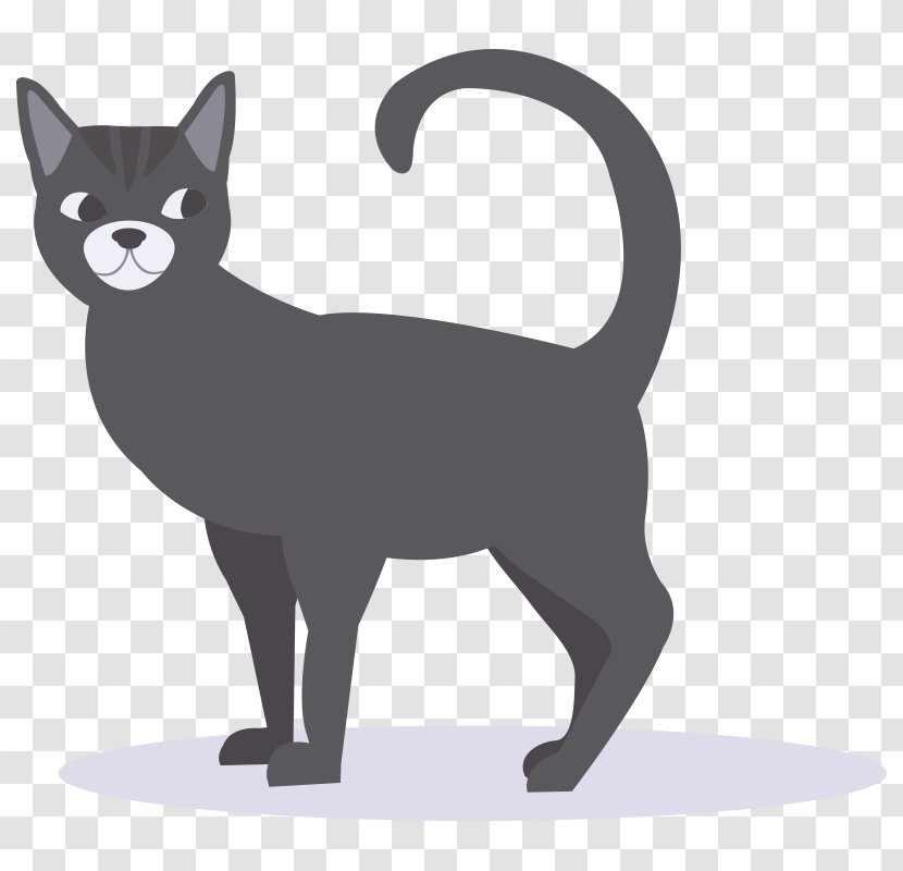 Whiskers Korat Kitten Black Cat Domestic Short-haired - Like Mammal Transparent PNG