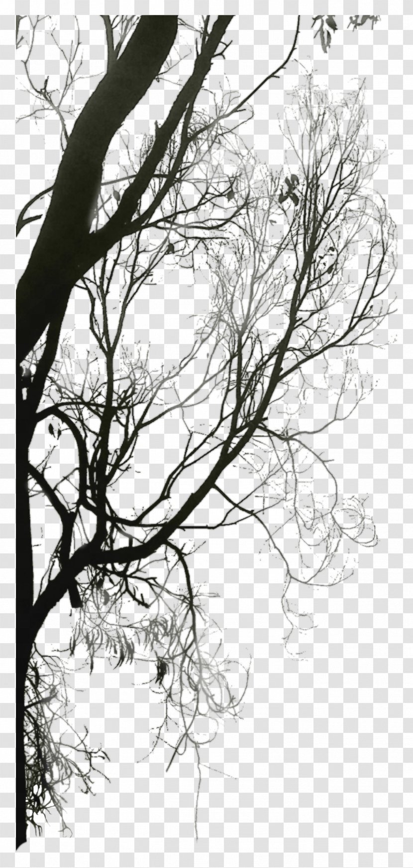 Black And White Twig Download Tree - Silhouette - Trees Transparent PNG