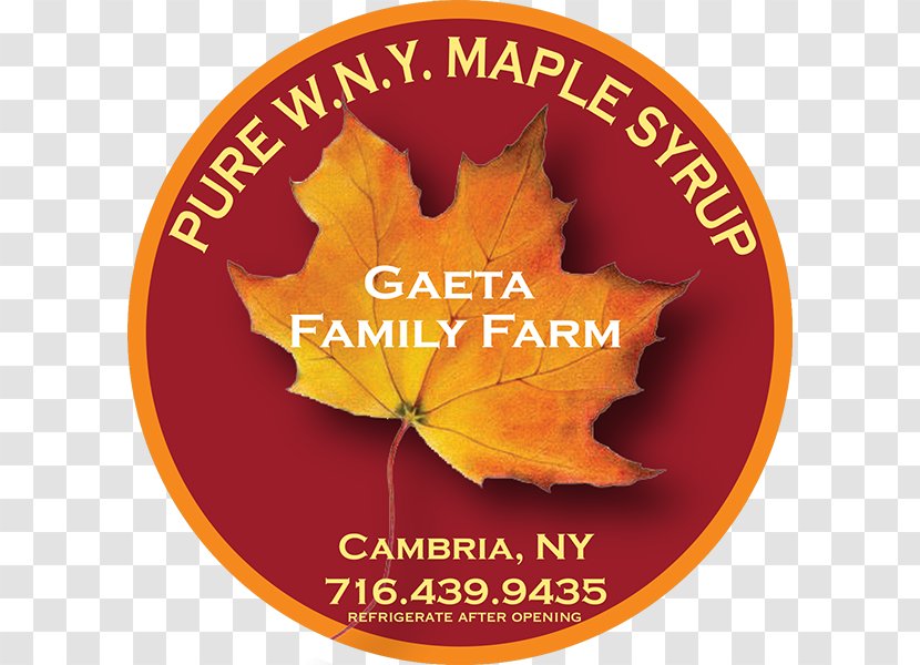 Maple Leaf Thanksgiving Font - Vermont Farmhouse Transparent PNG