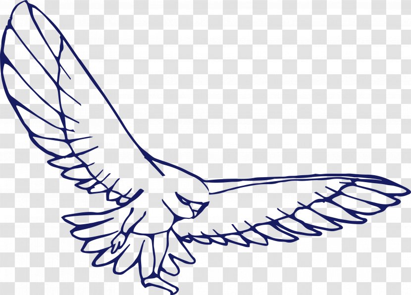 Bird Drawing Eagle - Beak - Dapeng Wings Fly Transparent PNG