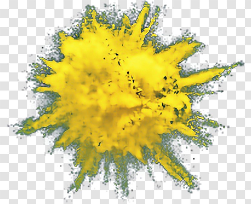 Desktop Wallpaper Drawing Explosion - Mimosa Transparent PNG