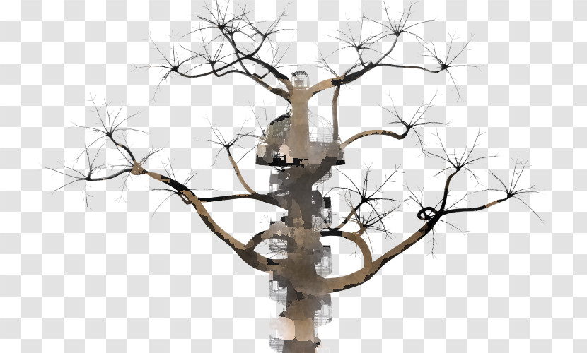Tree Branch Twig Plant Woody Plant Transparent PNG