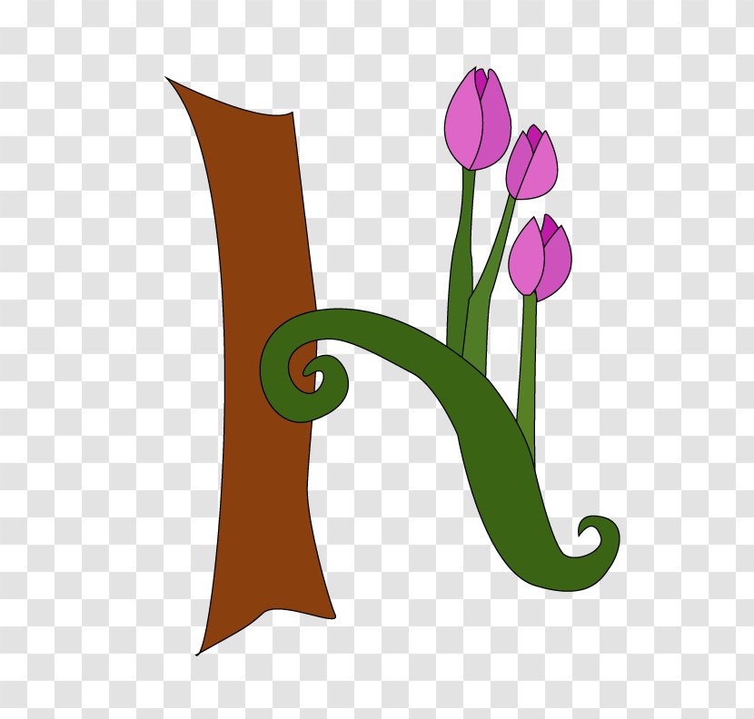 Tulip Flower - Petal Transparent PNG