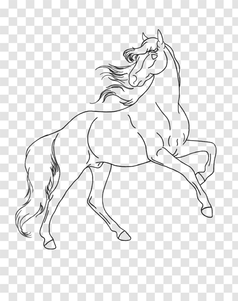 Arabian Horse Pony Mustang Stallion Rearing Transparent PNG