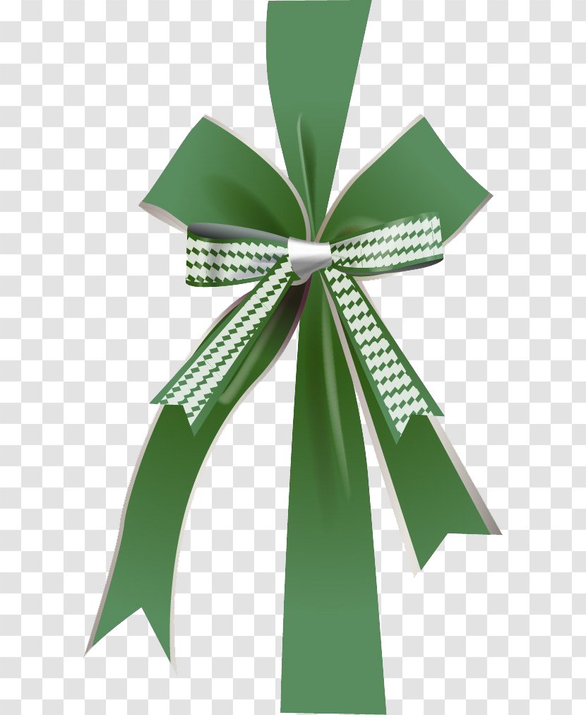 Green Ribbon - Designer - Beautifully Bow Transparent PNG