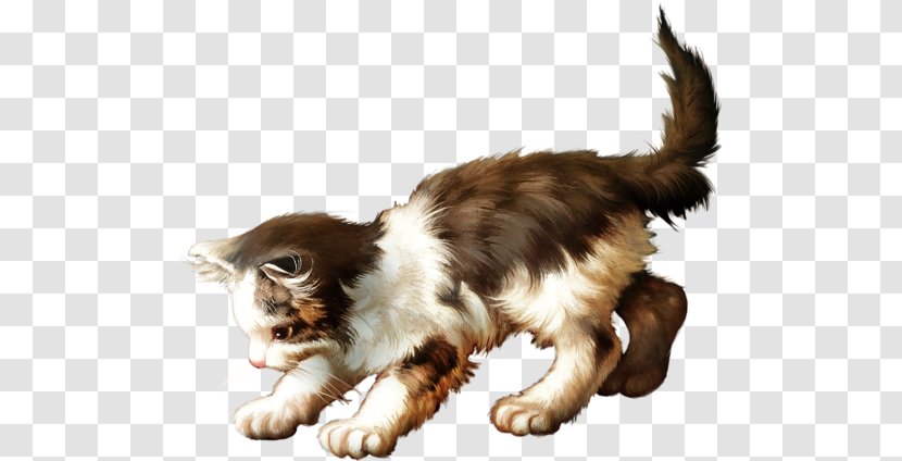 Whiskers Maine Coon Kitten Paw Transparent PNG