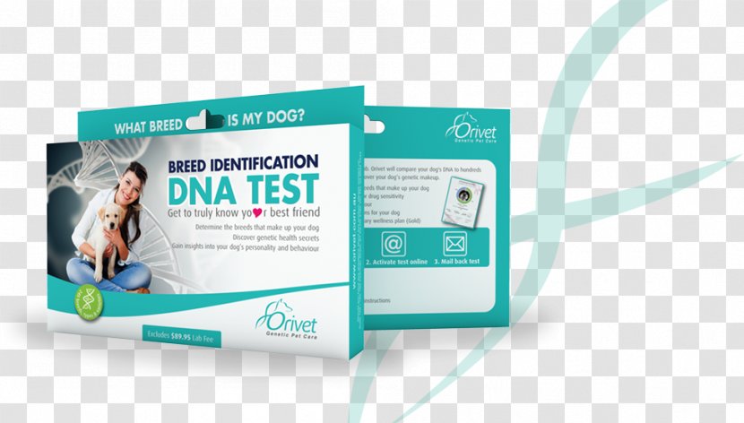 Dog Breed Genetic Testing Genealogical DNA Test - Dna Transparent PNG