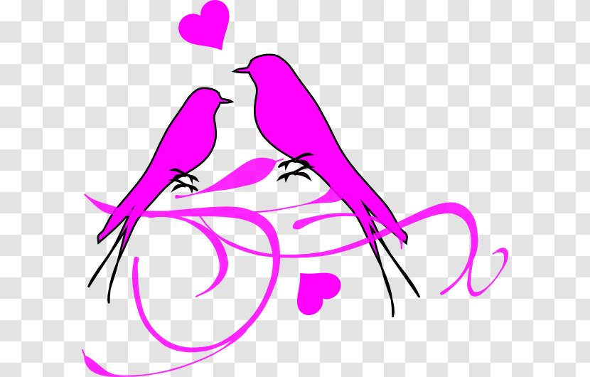 Lovebird Clip Art - Flower - Pink Bird Transparent PNG