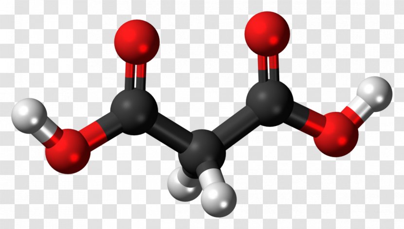 Malonic Acid Dicarboxylic Diethyl Malonate - Carboxylic Transparent PNG