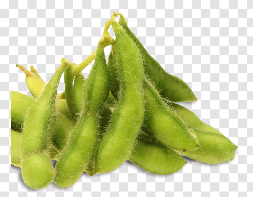 Edamame Soy Milk Substitute Bean - Soybean Transparent PNG