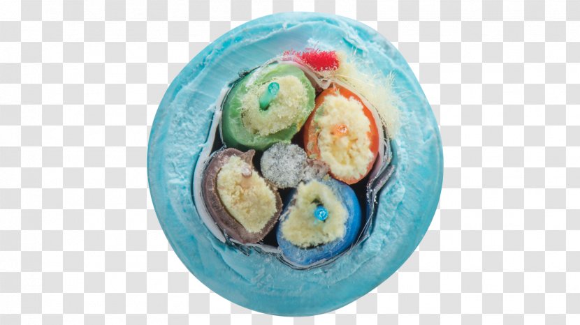 Easter Egg Turquoise Plastic - Fiber Optic Transparent PNG