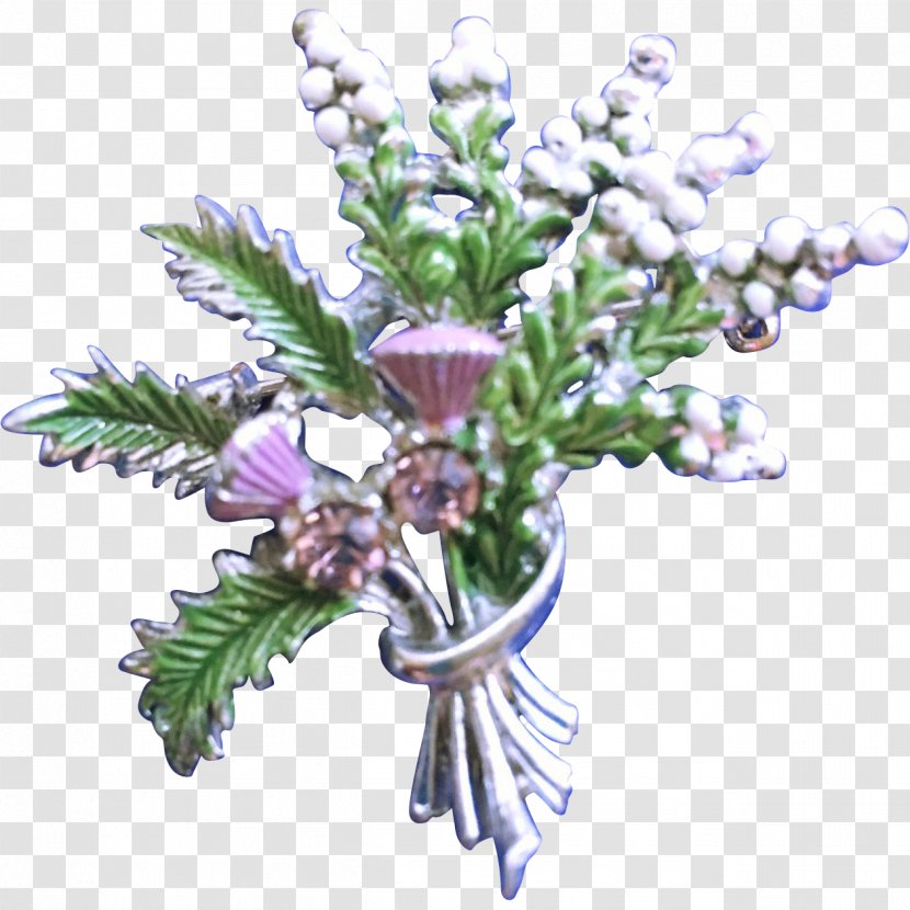 Celtic Brooch Fibula Pin Jewellery - Lavender - Succulent Border Transparent PNG