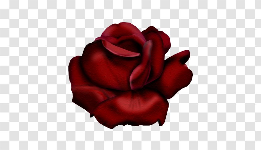 Garden Roses Painting Flower Red - Web Browser Transparent PNG