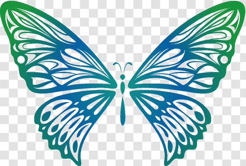 Butterfly - Insect - Brush Footed Transparent PNG