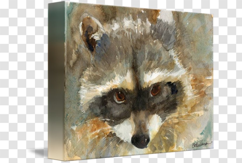 Raccoon Red Fox Painting Whiskers - Snout - Watercolor Animal Transparent PNG