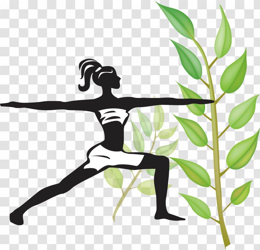 Yoga Physical Exercise Asana Fitness - Creative Picture Transparent PNG